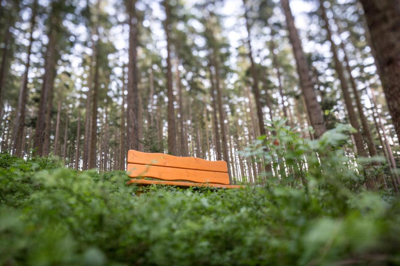 Hotel Schoene Aussicht Hornberg Eksteriør bilde